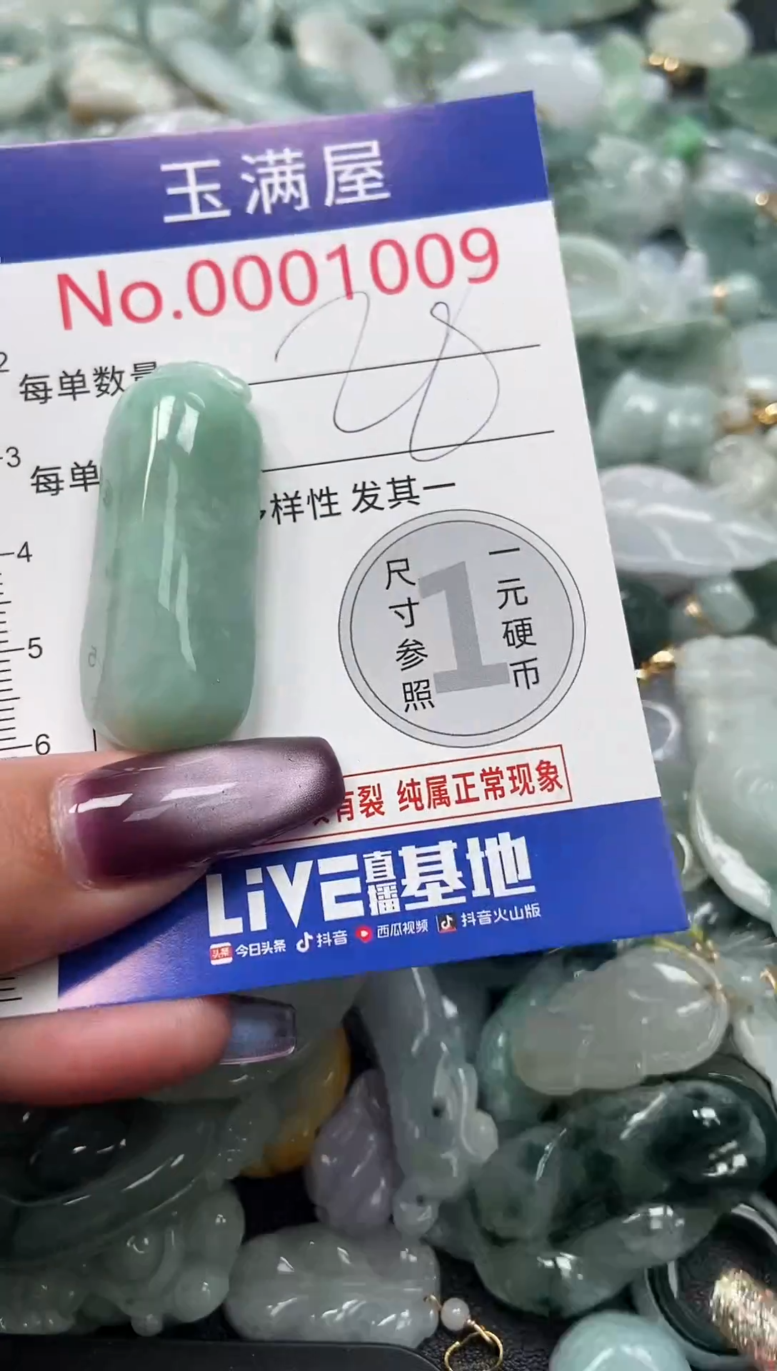 颈饰未镶嵌翡翠1009