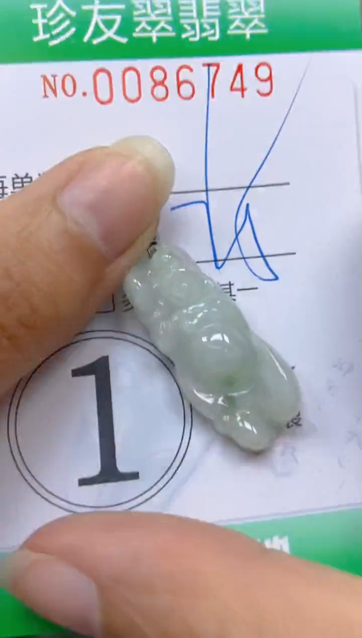 【闪购商品】翡翠颈饰未镶嵌闪购0086749
