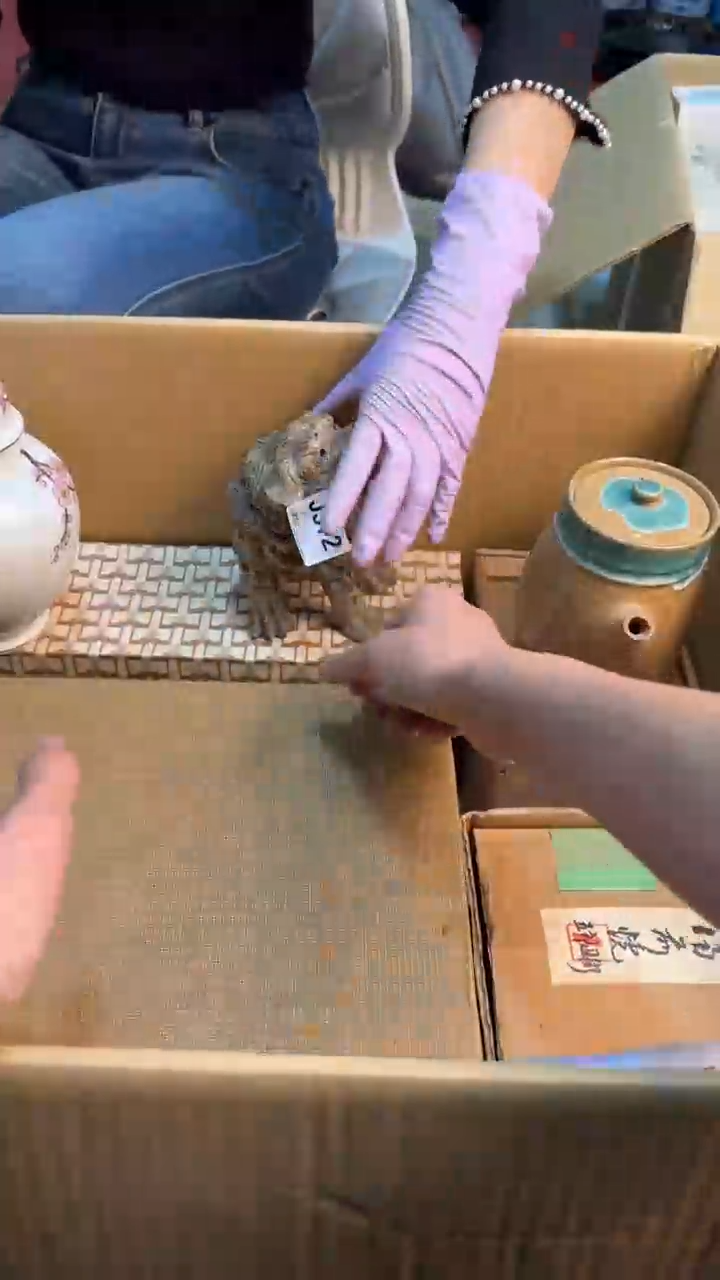 【闪购商品】茶盏8888888888    372