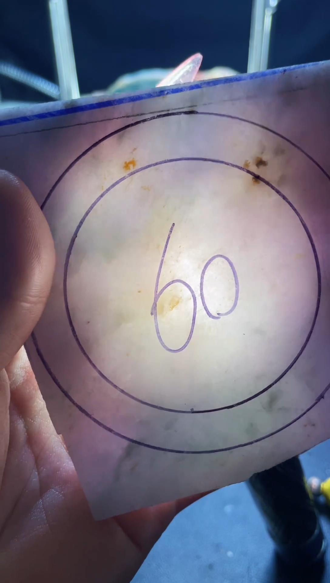 未镶嵌翡翠定制翡翠h****卷翡翠