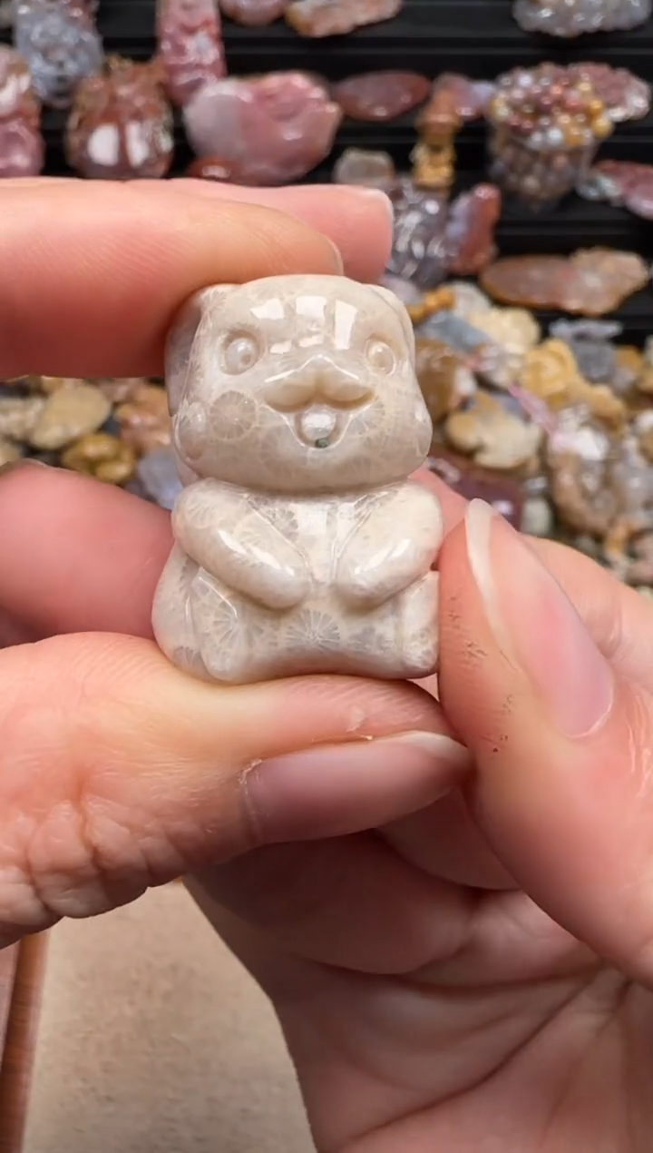 【闪购商品】硅化珊瑚（珊瑚玉）颈饰未镶嵌399