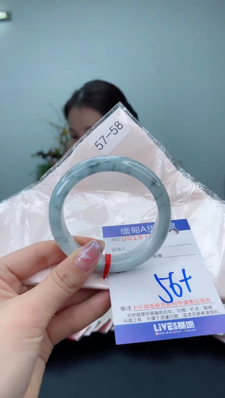 未镶嵌手镯翡翠4