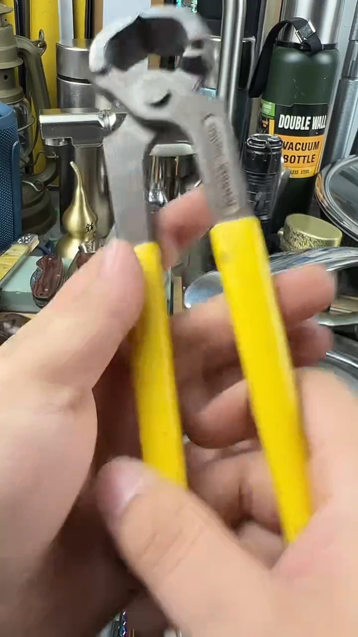 瓷片瓷片东京很热杂货正品保证