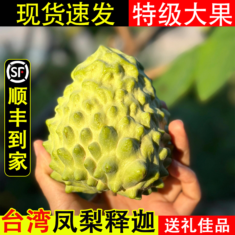【京东＋顺丰】台湾牛奶凤梨释迦果释迦摩尼果番荔枝特大果水果整箱