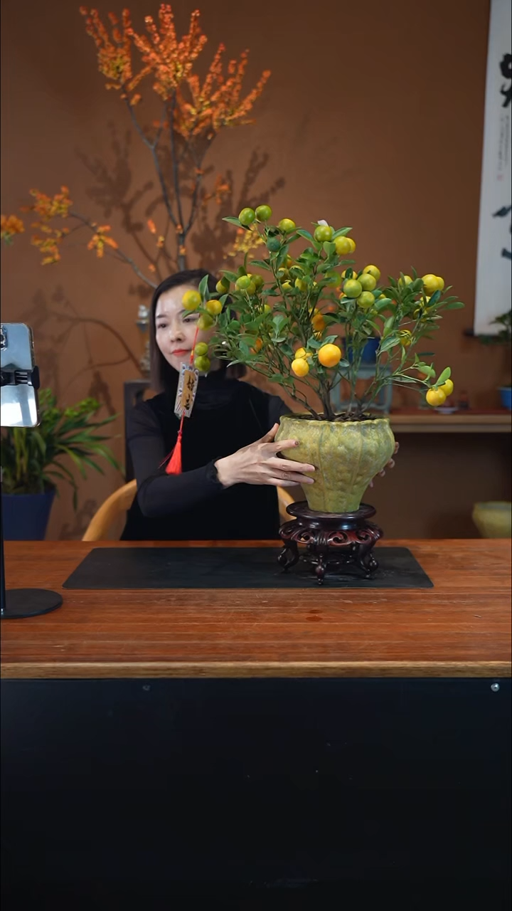 全部花朵小金橘黄盆盆景盆景盆景