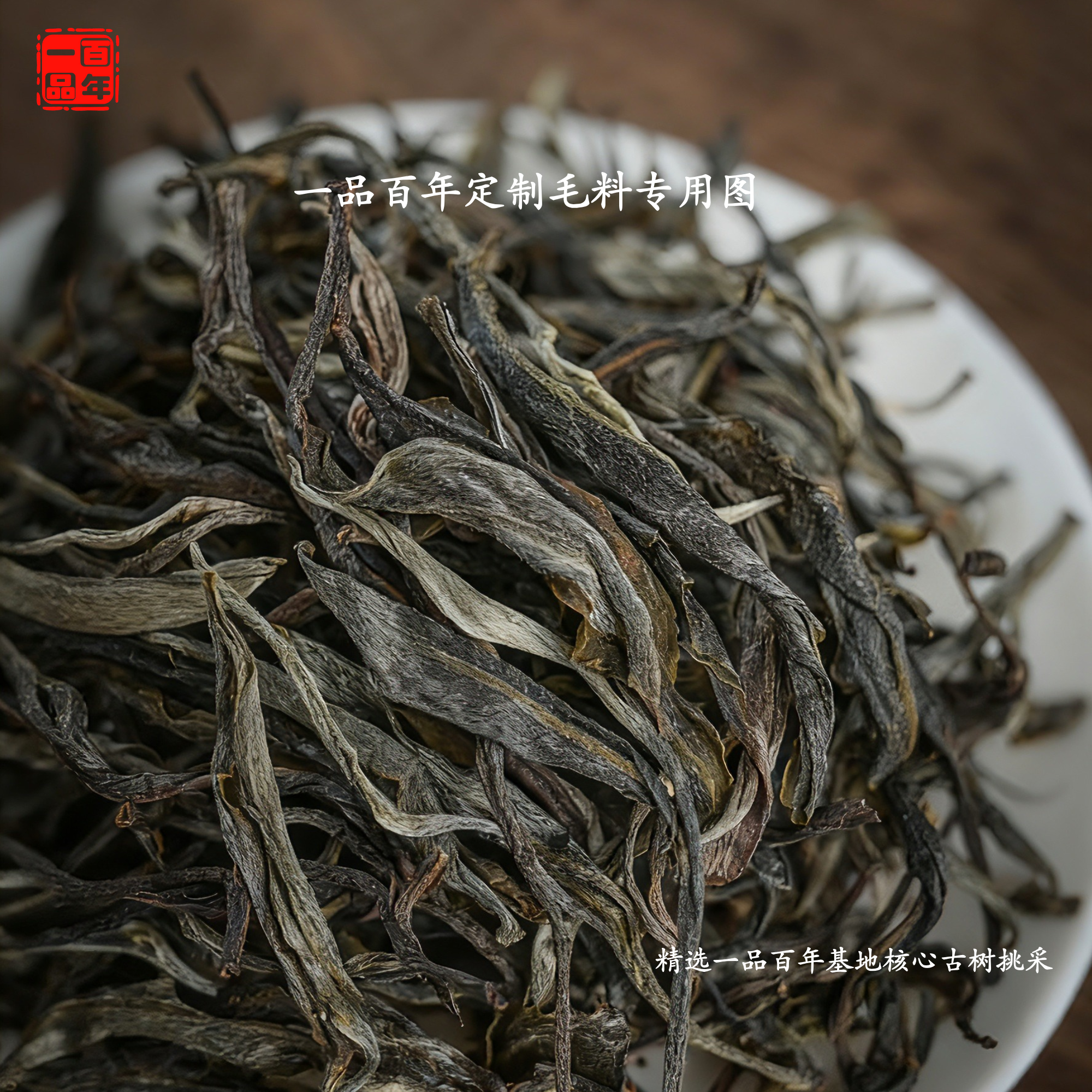 一品百年2025年小户赛古树后山纯料普洱生茶春茶