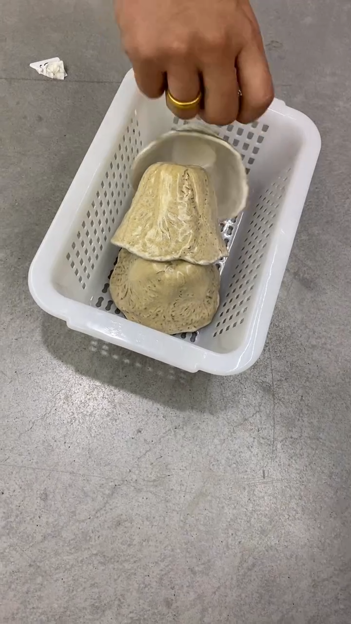 瓷片S485陶瓷茶具茶器