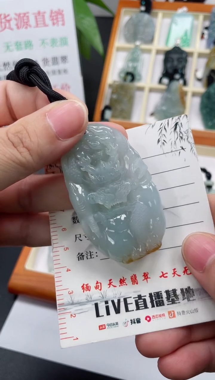 【闪购商品】翡翠颈饰未镶嵌龙