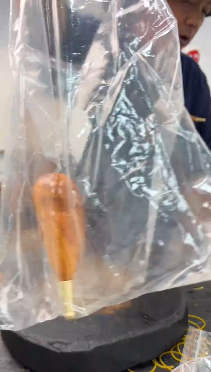 黑果木其他黑果木347