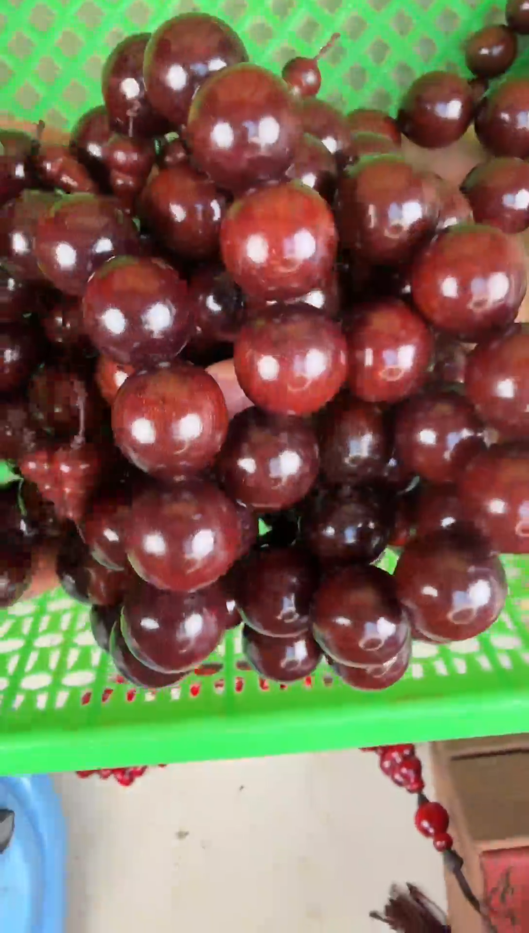 木赞比亚紫檀1.8