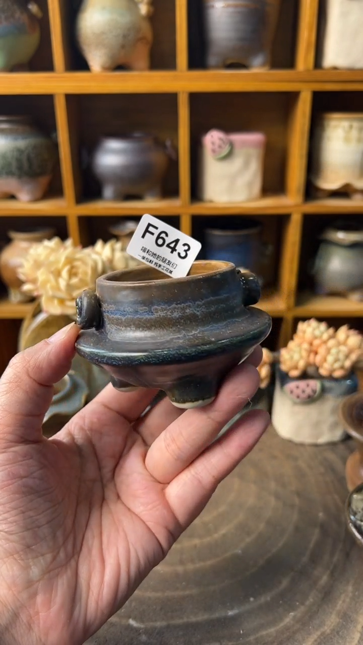 643 内口5【多肉花盆多肉盆】