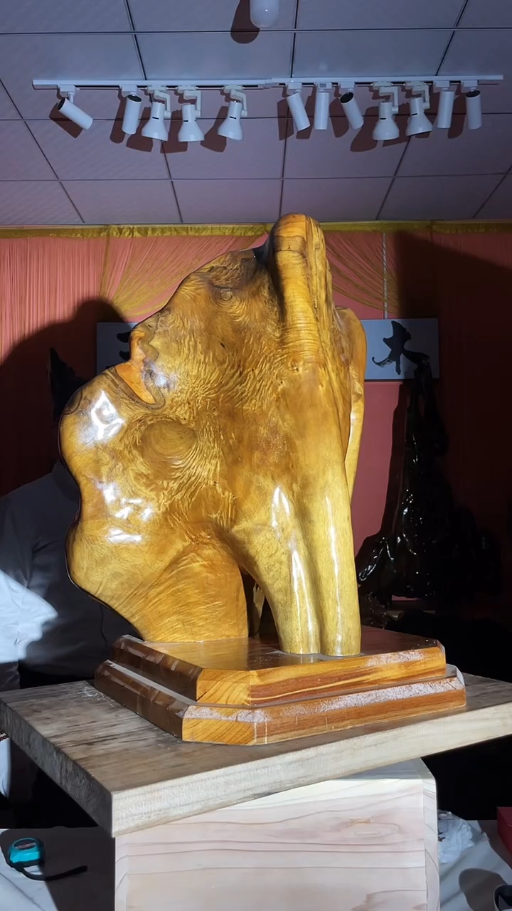 金丝楠翔*金丝楠木小叶桢楠