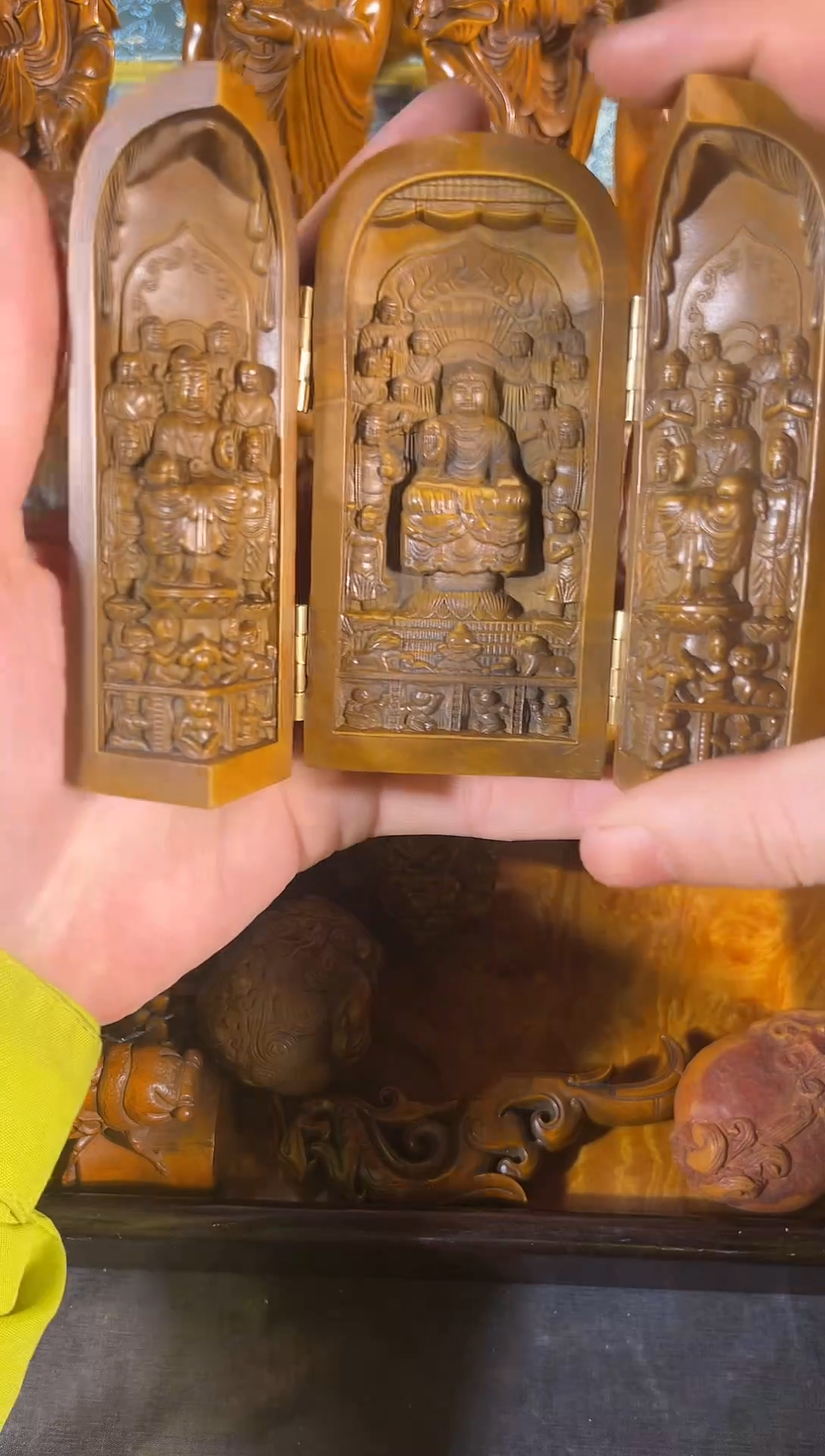 黄杨木111111111111