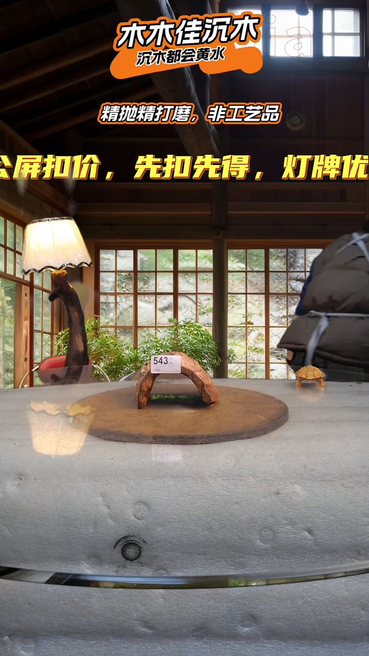 给****漫木木佳沉木鱼缸造景543