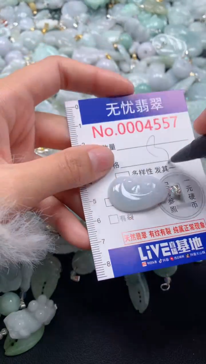 颈饰未镶嵌翡翠4557