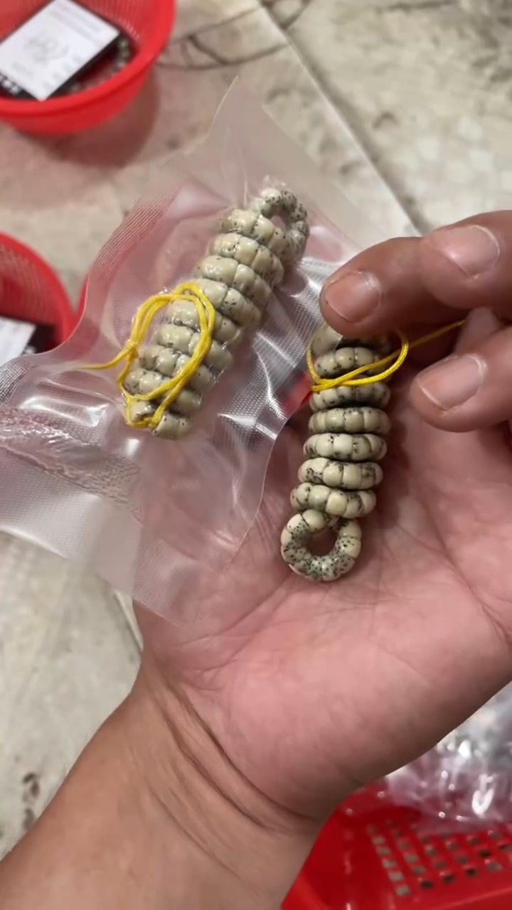 星月菩提手串海南星月菩提《X9》6X5大肠