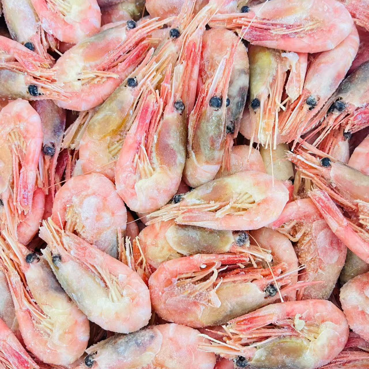 【来此购专属】北极甜虾头籽腹籽混，保证今年虾，颜色红70-90