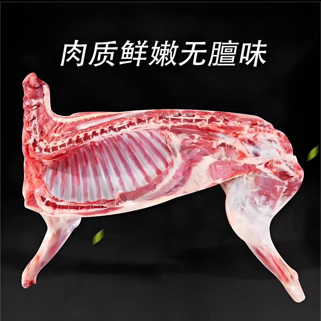 TJ【半羊/10斤】正宗黑山羊散养散放半只羊切块顺丰冷链70%腿排