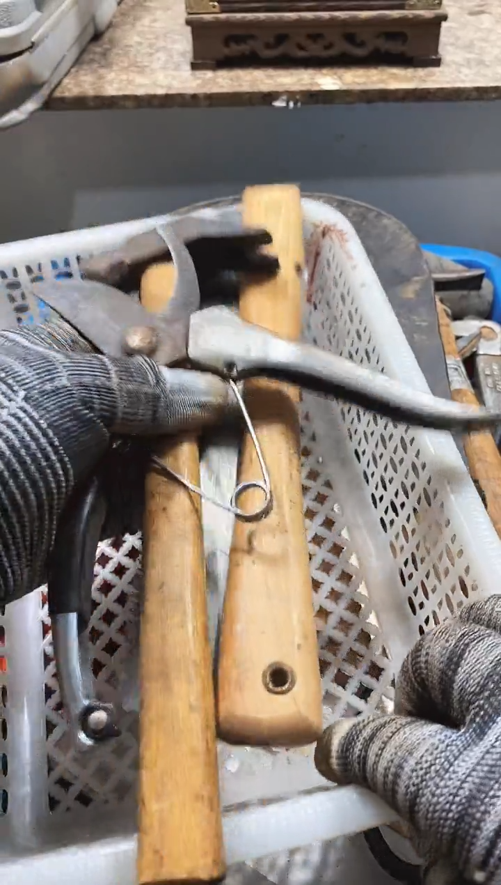 淡*水麻嘎子工具闪购链接一物一拍