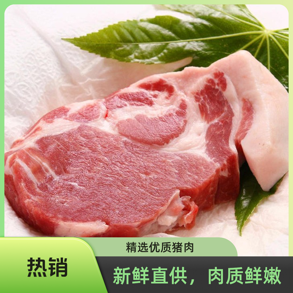 猪腱子新鲜猪肉 前腿肉300g