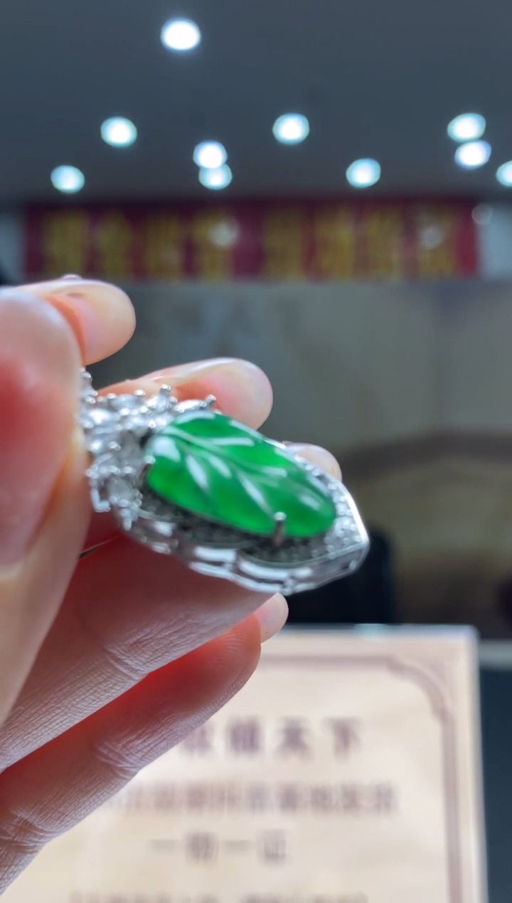 【闪购商品】翡翠颈饰未镶嵌********11