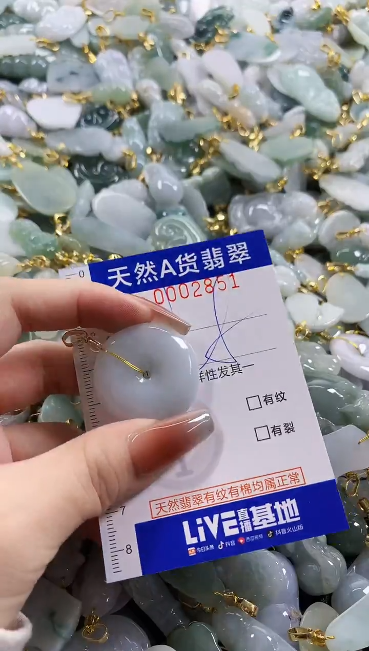 颈饰未镶嵌翡翠天然A货翡翠