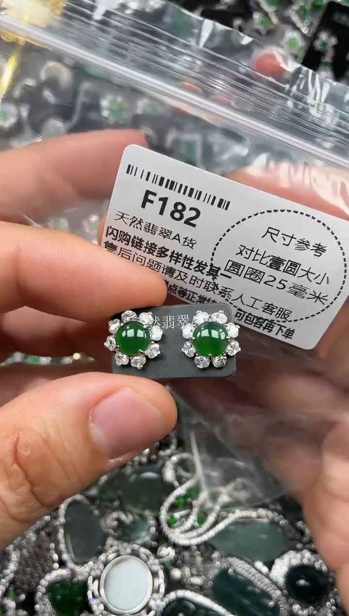 颈饰未镶嵌翡翠F182耳钉