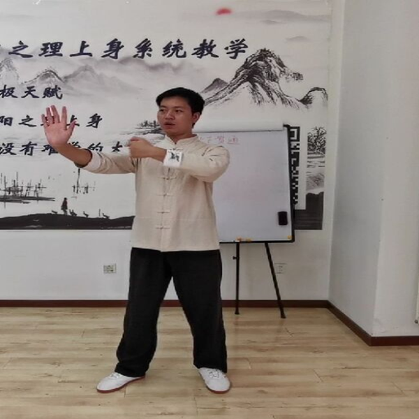 内催外气催形，贯通桩功 线上指导