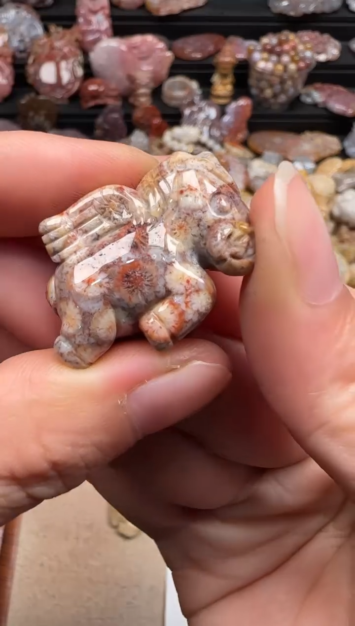 【闪购商品】硅化珊瑚（珊瑚玉）颈饰未镶嵌234