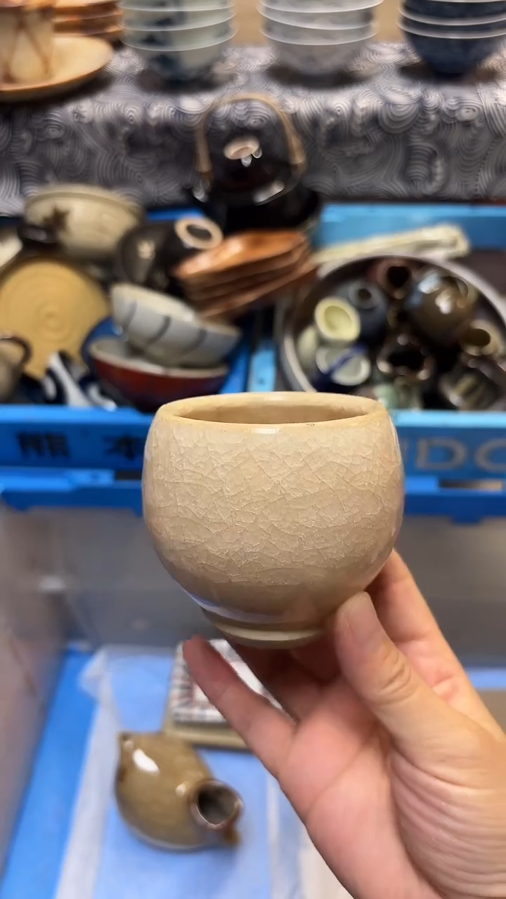 瓷片喵喵家都是大漂亮