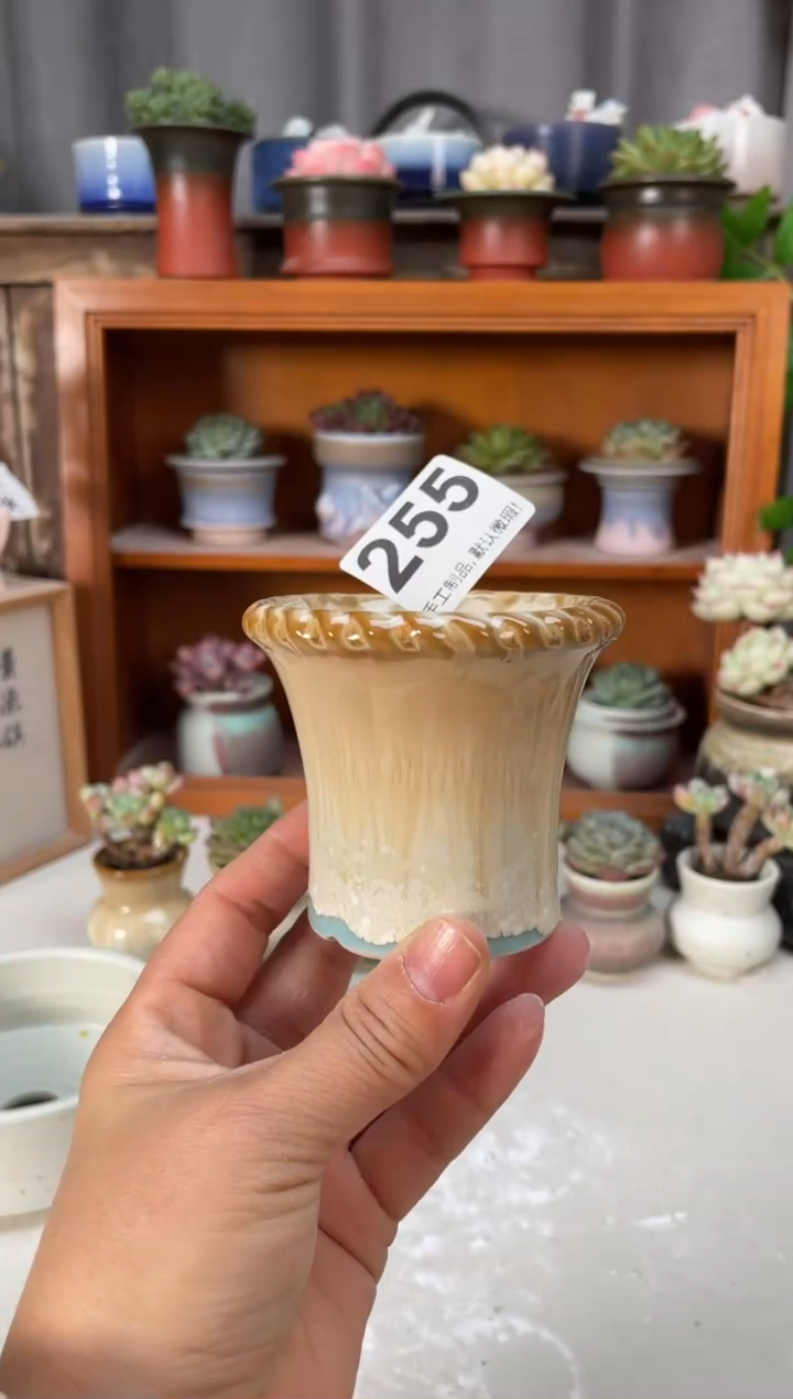 瓷片255小芳直播编号