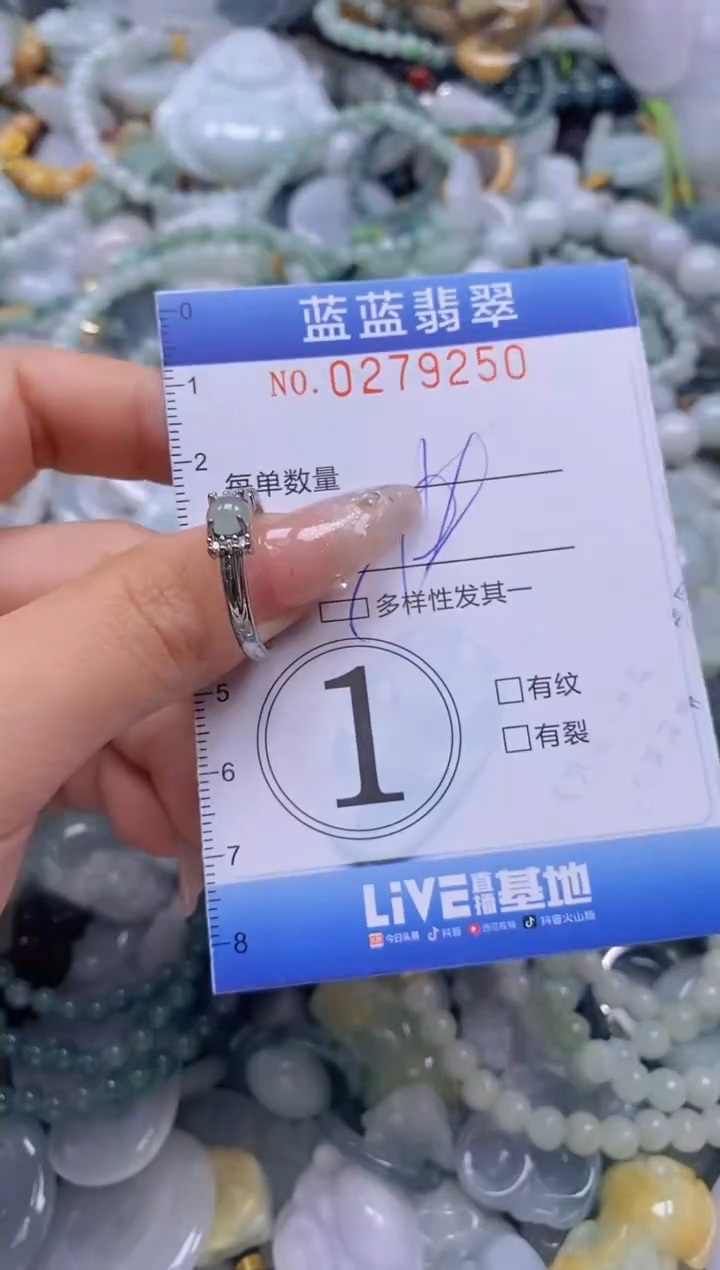 翡翠未镶嵌颈饰闪购0279250多样性发其一