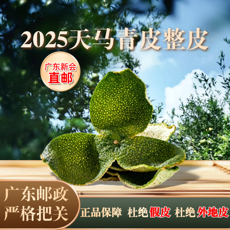 正宗广东新会2025天马青皮新会茶枝柑核心原产地直发