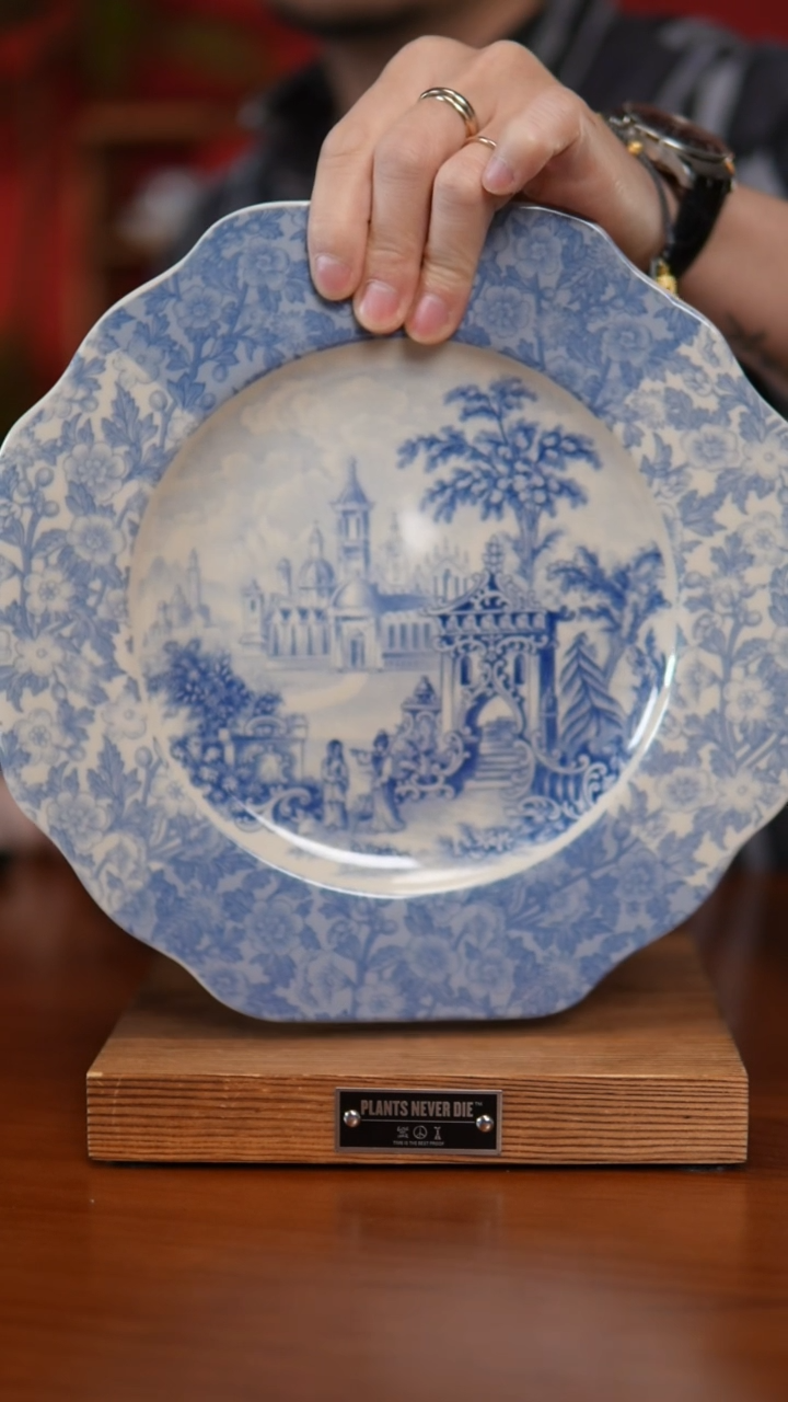 【闪购商品】瓷片直播闪购链接 以图片为准