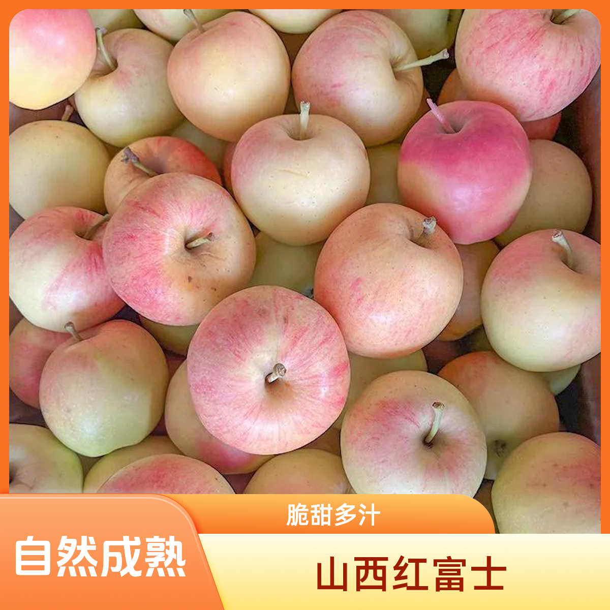 【顺丰包邮】山西红富士丑苹果苹果整箱现摘 香甜酥脆 孕妇儿童水果