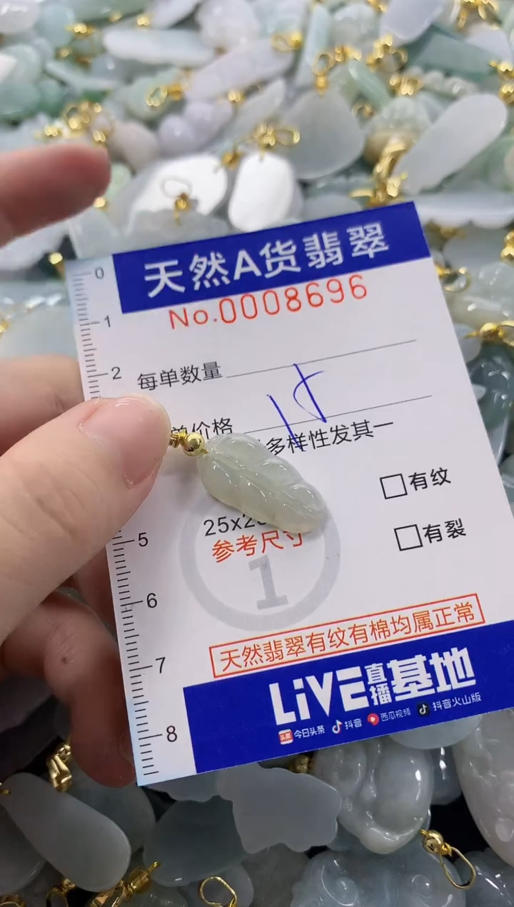 颈饰未镶嵌翡翠天然A货翡翠