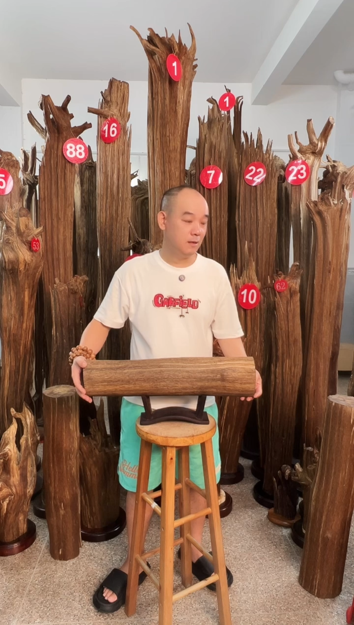 沉香沉香碎屑@**生沉香原料6