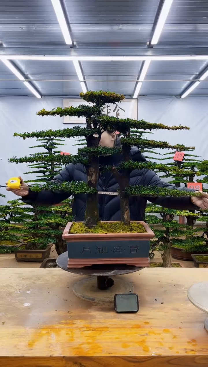 无花朵一物一拍·所见即所得