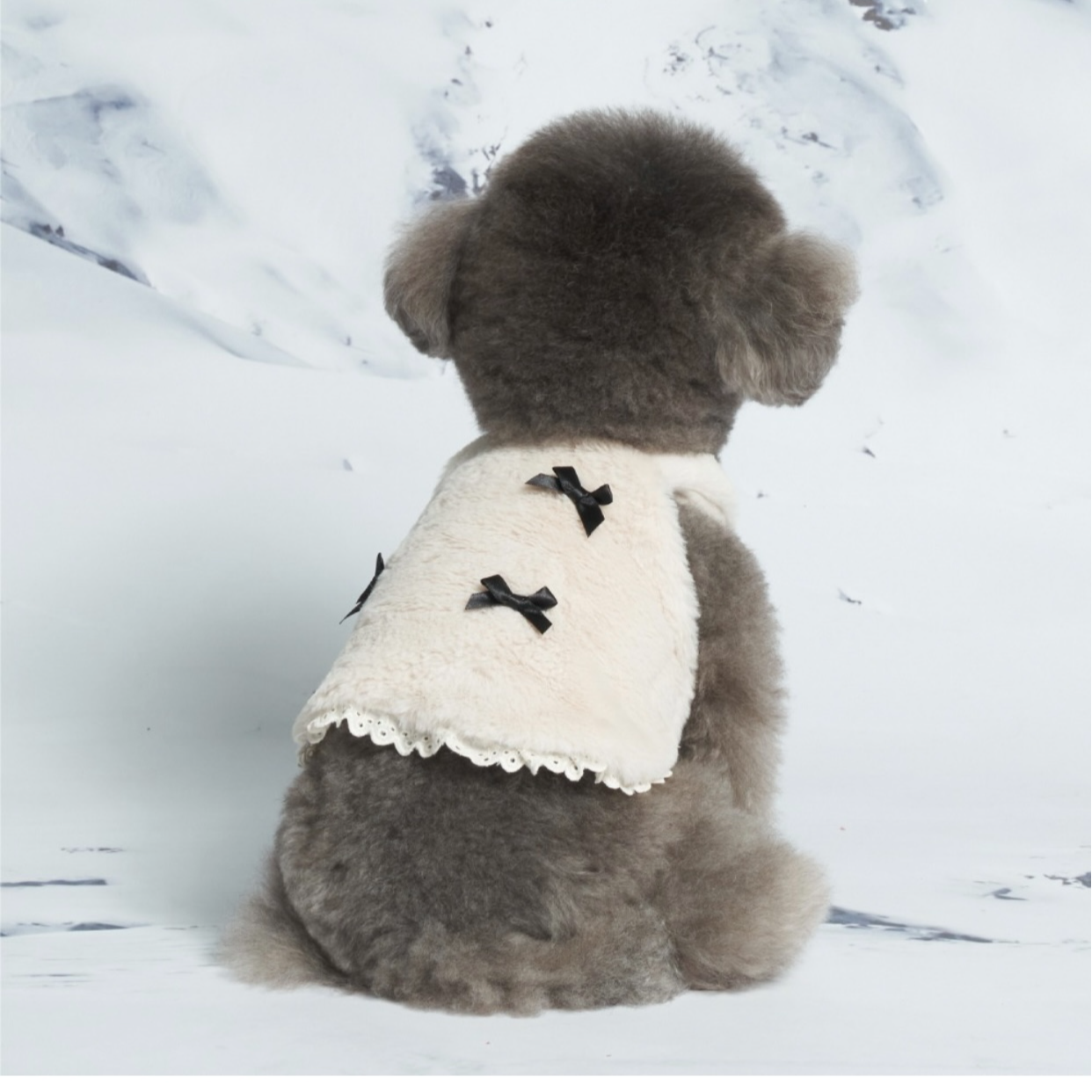 M家小蝴蝶结宠物打底背心