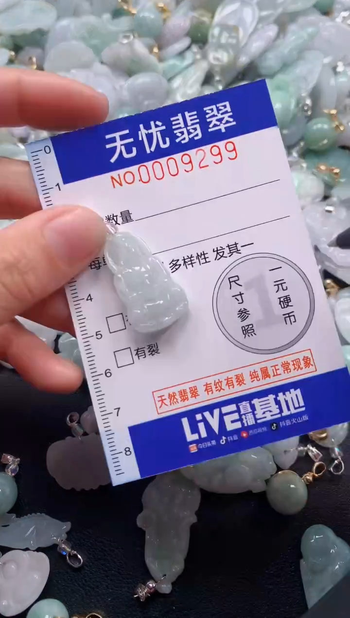 颈饰未镶嵌翡翠9299