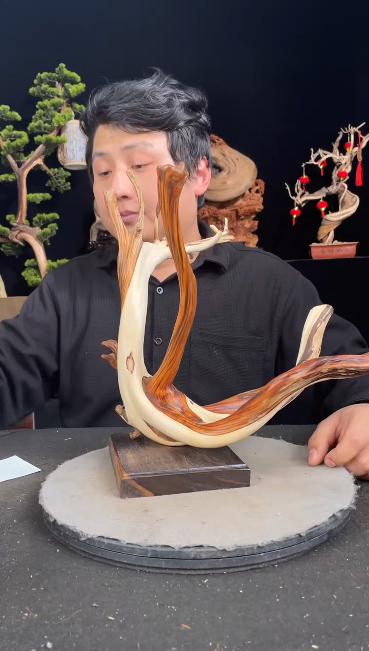 【闪购商品】柏木（崖柏）其他手工摆件,先抢先得!