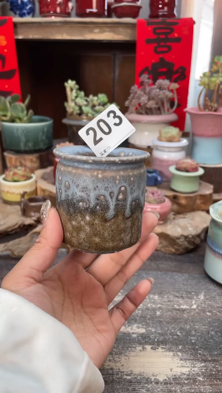 【闪购商品】摆件203知木小芳花盆