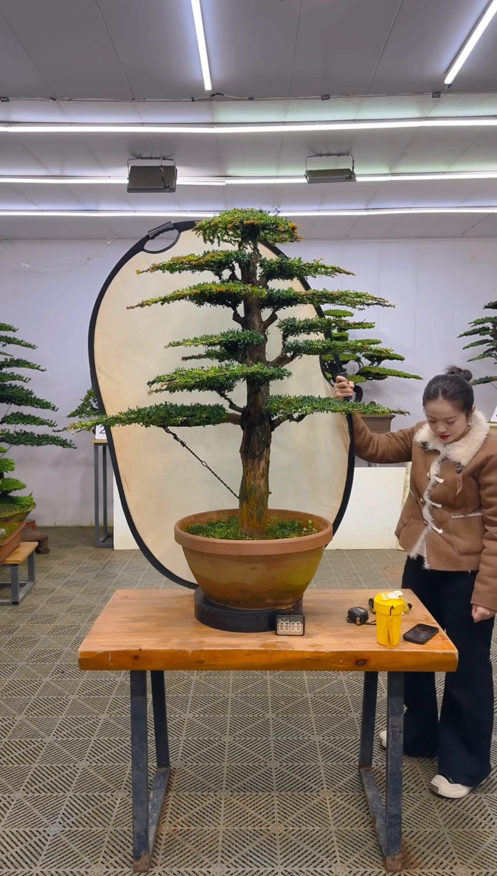 无花朵一物一拍一物一拍