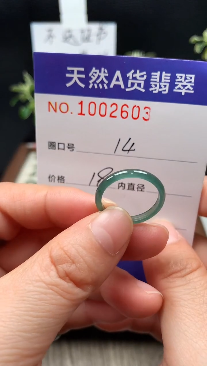 未镶嵌戒指翡翠14#
