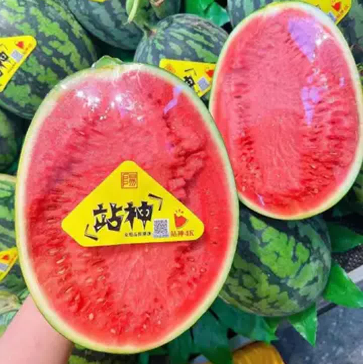 站神东台甘美4K西瓜甘美4K站神江苏省