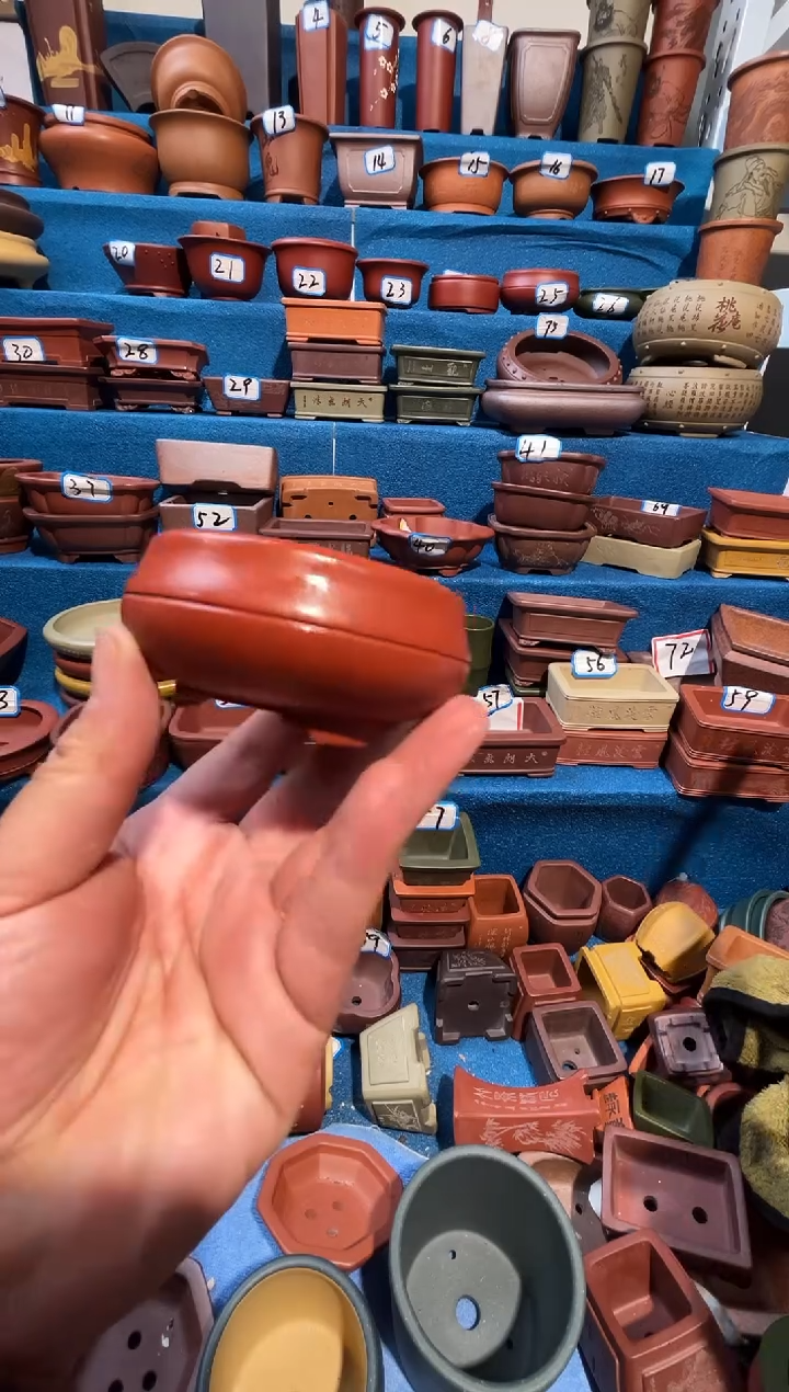 【闪购商品】紫砂紫砂花盆6.5*3.5