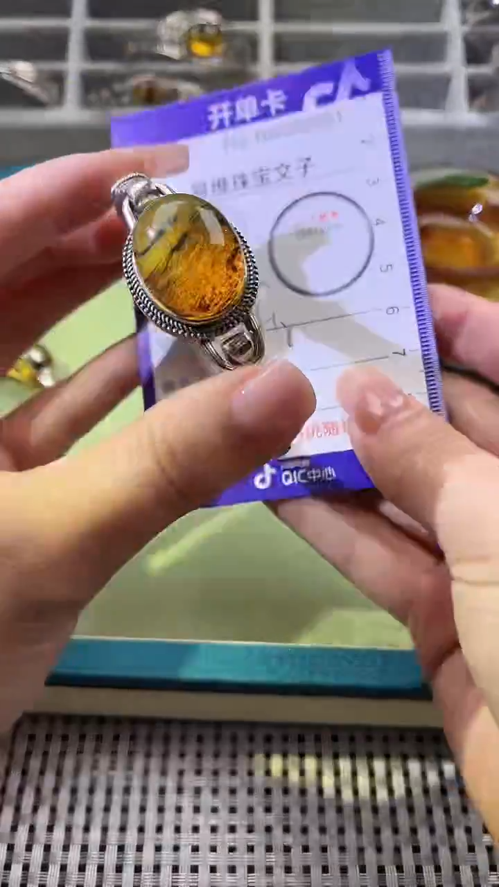 【闪购商品】琥珀颈饰银S925镶嵌100632051