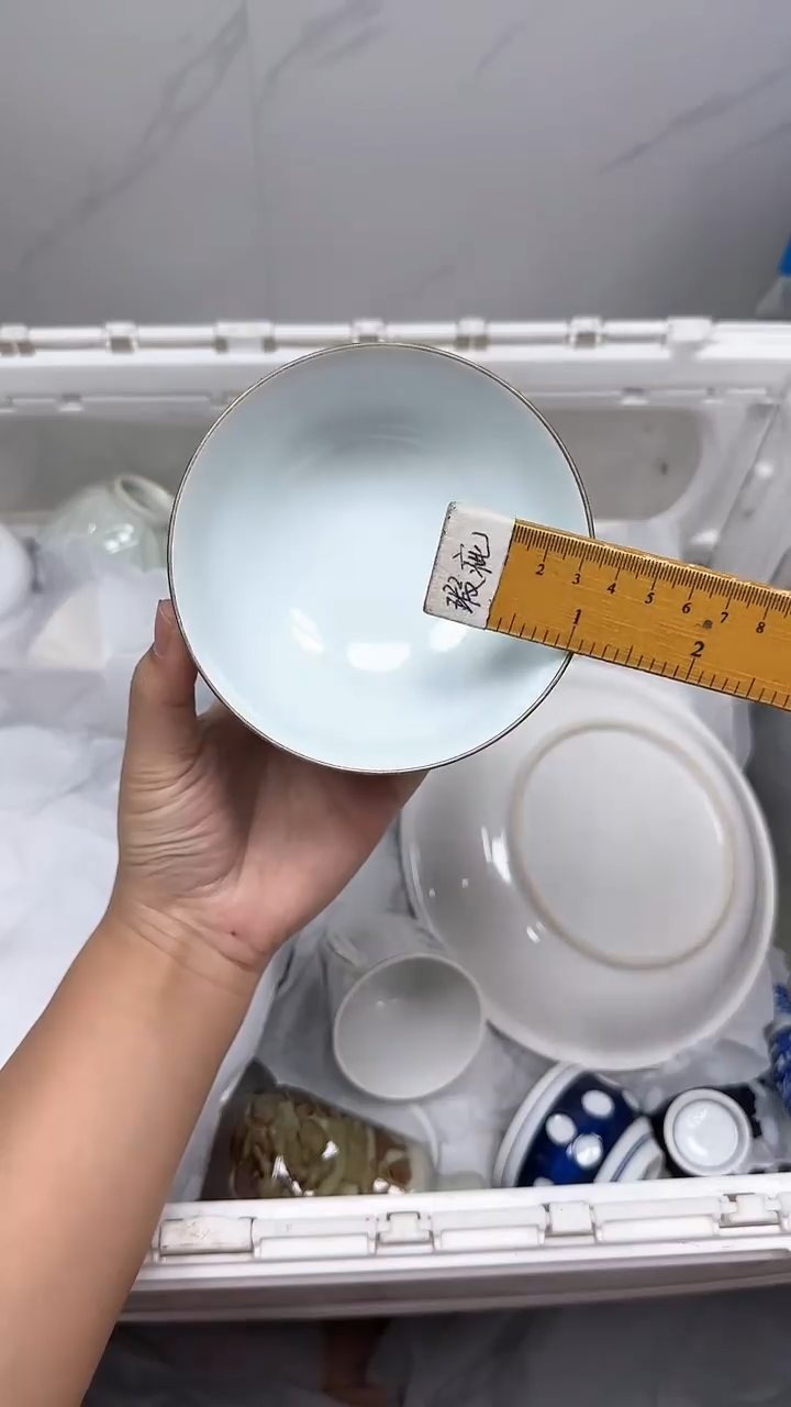 【闪购商品】256回流瓷器默认微瑕，18.8包邮