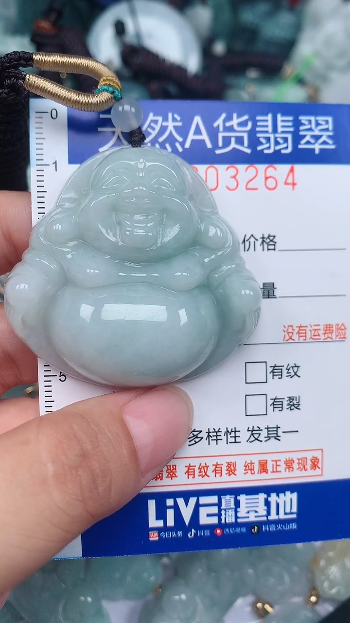 翡翠未镶嵌颈饰...0003264