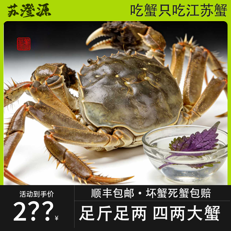 【新疆发货】江苏蟹鲜活大闸蟹河蟹足斤足两肥美鲜活品质保障全母蟹大个头肉质饱满元旦过年送礼礼盒顺丰包邮
